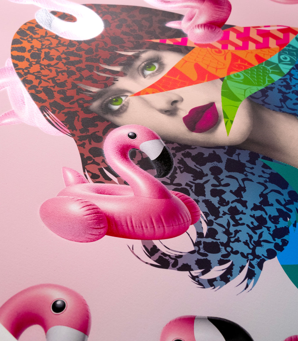 Augmented Flamingo (Revolution) GR